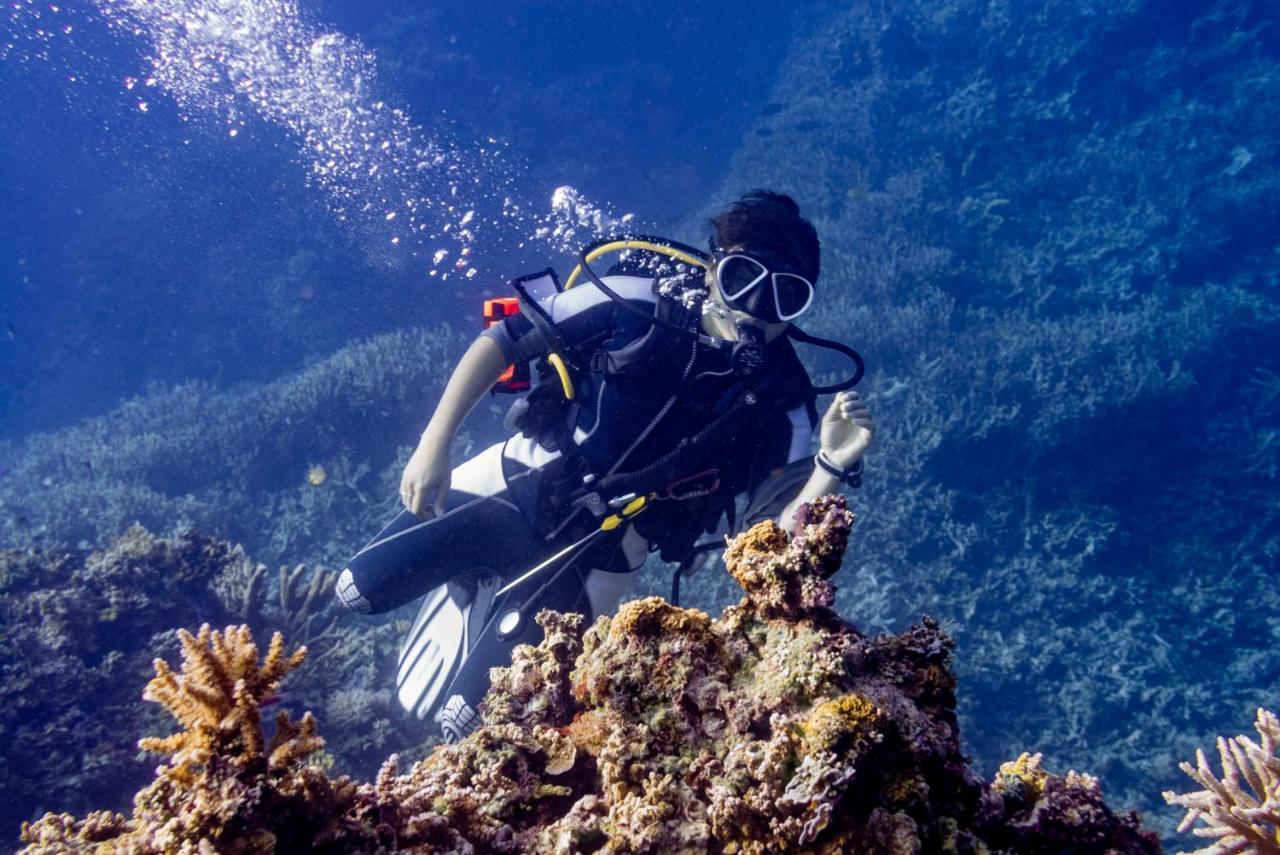 Reconnect - Private Island Resort & Dive Center Togean - Buka Buka Island Ampana Eksteriør bilde