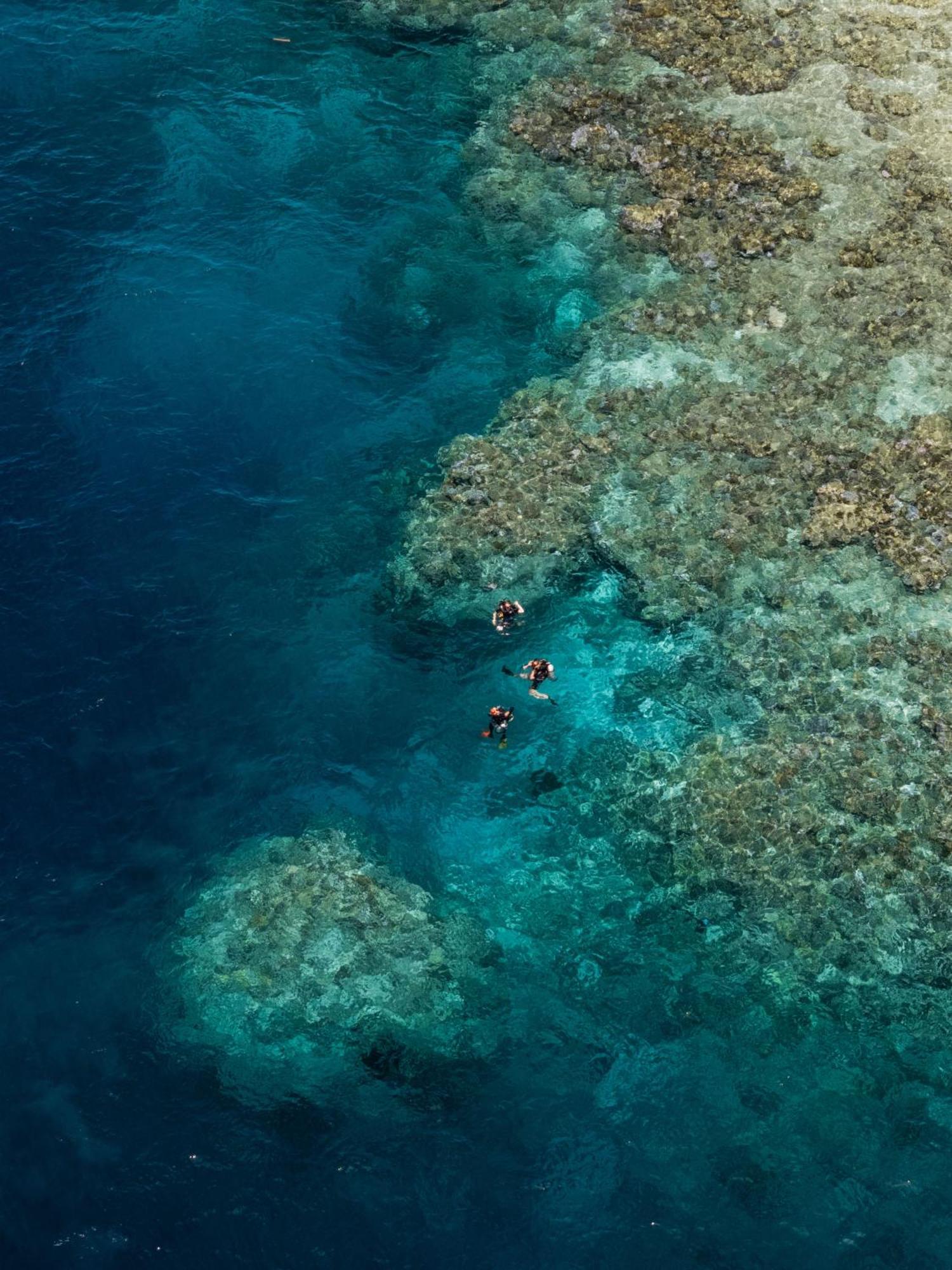 Reconnect - Private Island Resort & Dive Center Togean - Buka Buka Island Ampana Eksteriør bilde