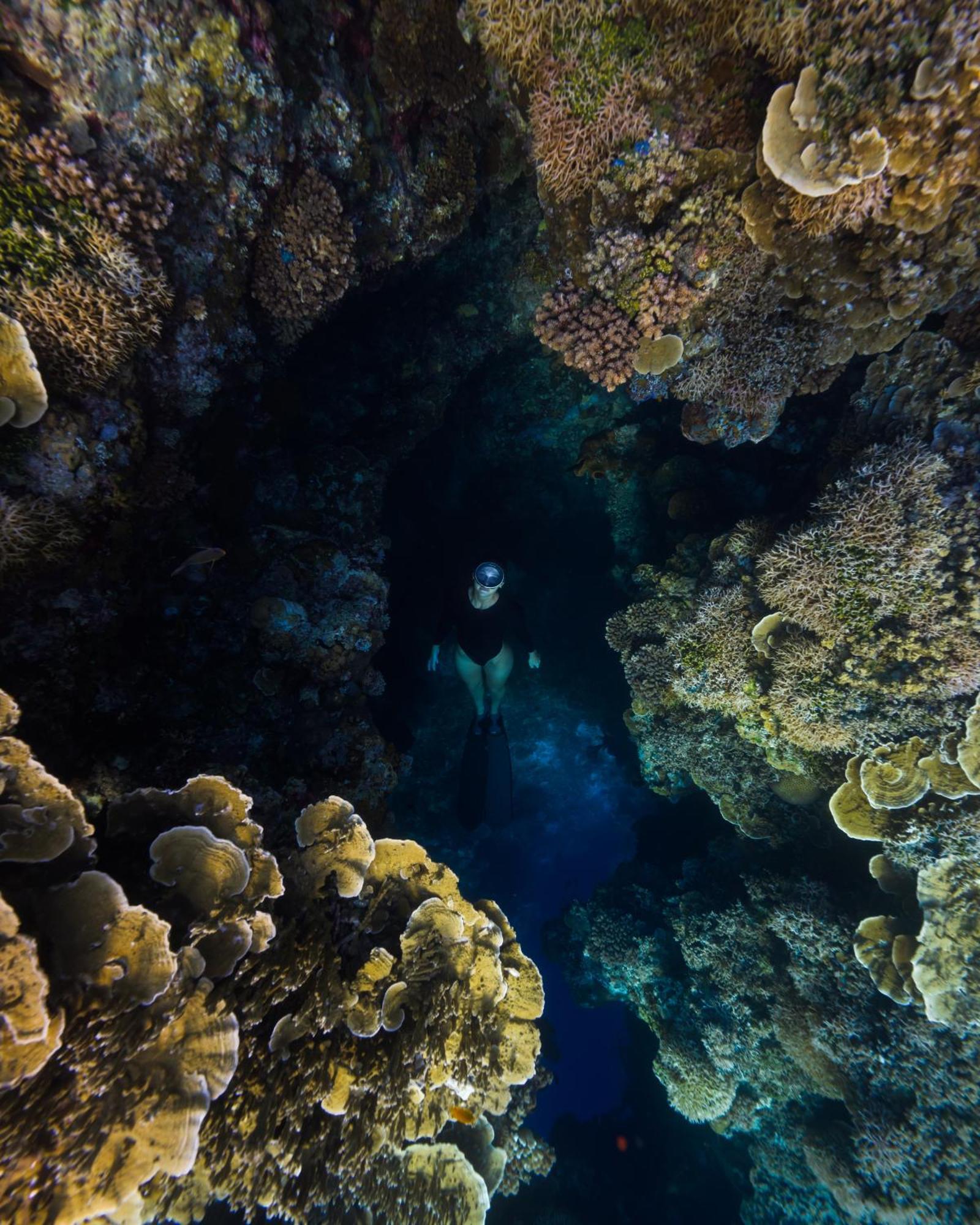 Reconnect - Private Island Resort & Dive Center Togean - Buka Buka Island Ampana Eksteriør bilde