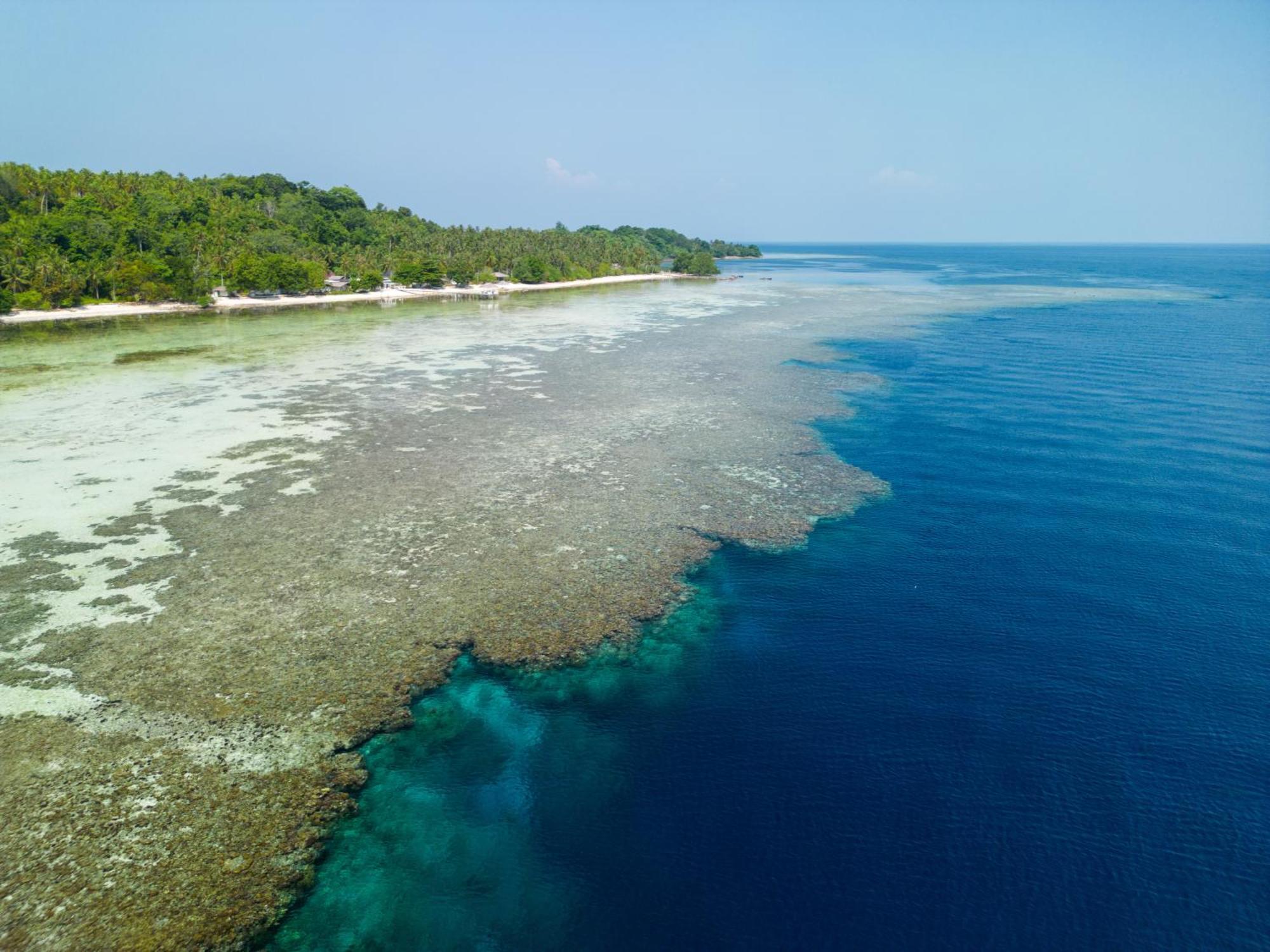 Reconnect - Private Island Resort & Dive Center Togean - Buka Buka Island Ampana Eksteriør bilde