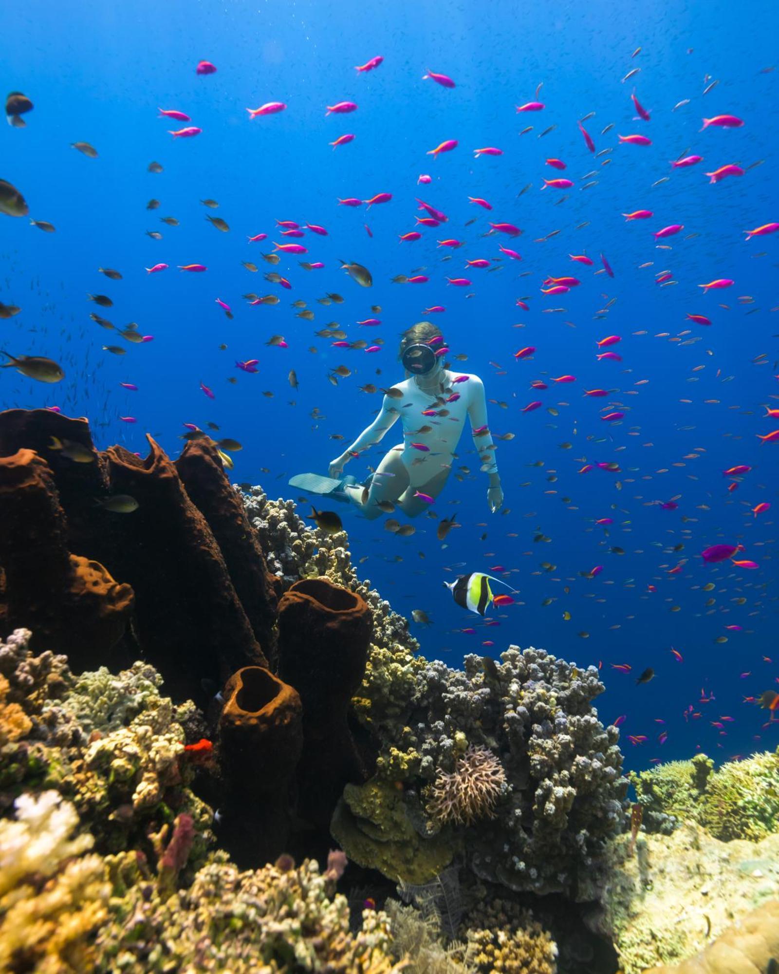 Reconnect - Private Island Resort & Dive Center Togean - Buka Buka Island Ampana Eksteriør bilde
